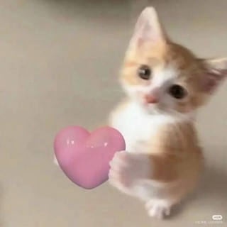 thuy_duong_.08