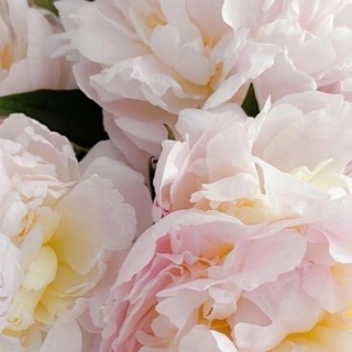 nhi_huynh795