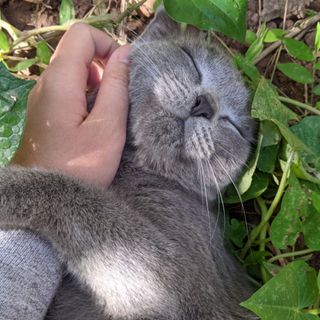 smytuotuo