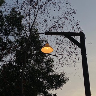 moonhi.2007