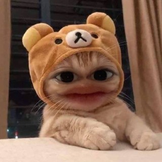 hongtham0