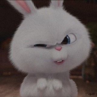quynh_ngan_1511