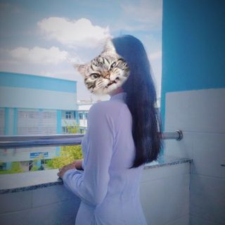 phtrinh23