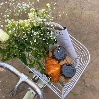 vongocthaohien