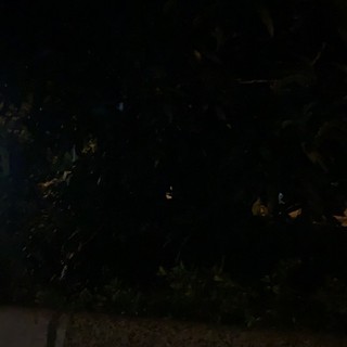 bhndvvvccvbcv