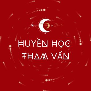 honghanh8295