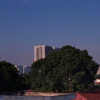 thuhoihong188