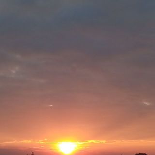 thutrangphung1009