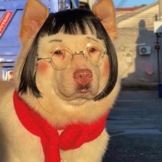 ww8oc12pdn