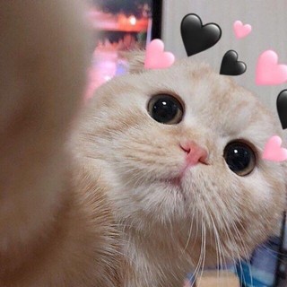 nguyenthaonelody