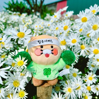 echstore