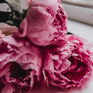 quynh.quynh6868