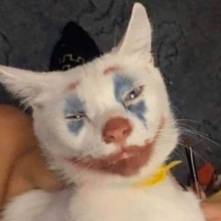lehuutrieudz