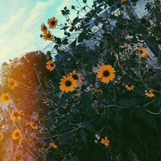 t_h_u_y_v_y_y