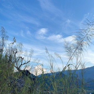 cham0405