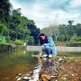 vithitunglam
