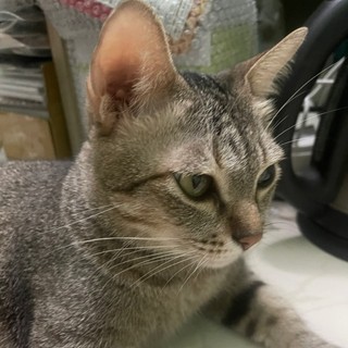 myduyen.13121994