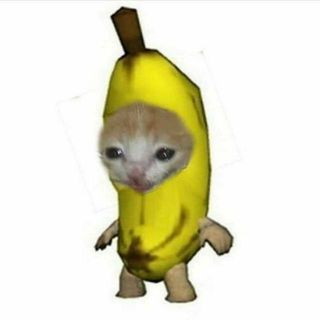 9_dquzb2k9