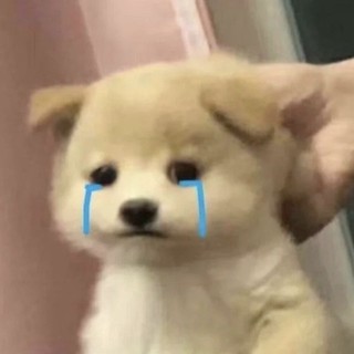 taaaaaaaaaaaaaaaaaaaaaaaaaa