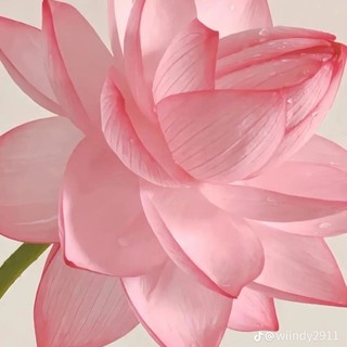 dung_thanh2015