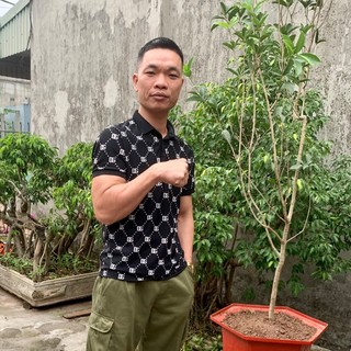 _letuanhung