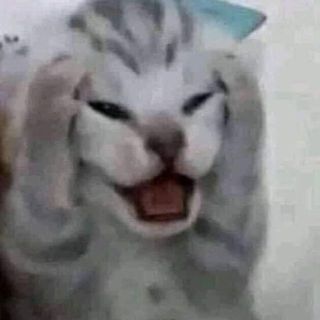phatmuadochoi