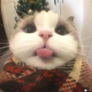 anhduongtran1412