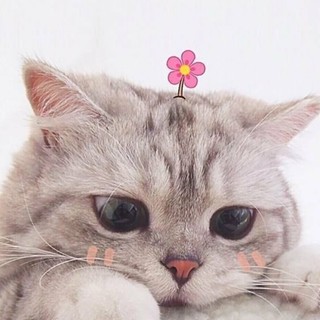 myiyine