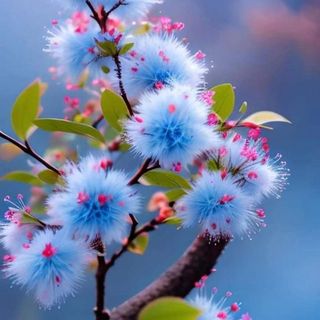thoinguyen_87