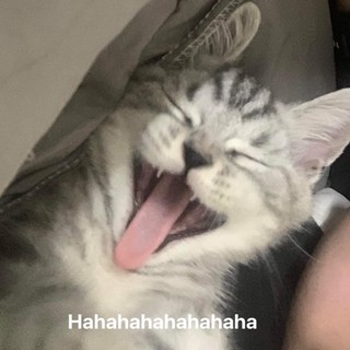phuongmeow051