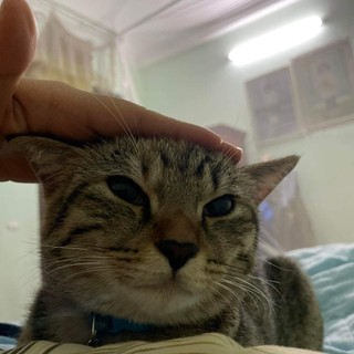 thuhuong10092005