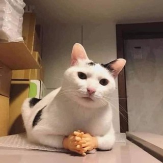 duyanhnguyenngoccheez