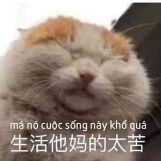 thanhlamphm214