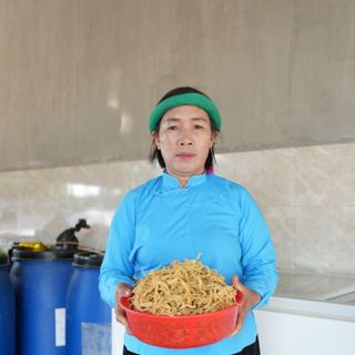 phuongjks