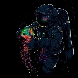 anhnthust97