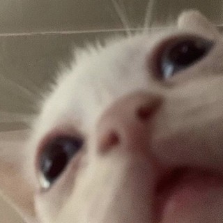 jenny1232213