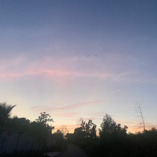 thphngphm807