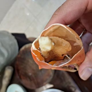hungcuongvtt