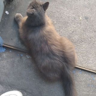 fuonggthu_765