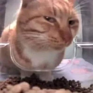 hwaaa113