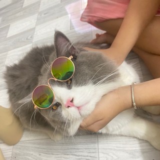 thuytien_kn