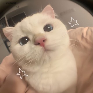 anhhoang3012