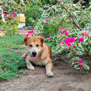 bchtrndngth831