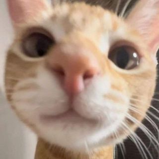 nhuwuyen01