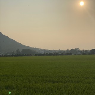 yeuquehuongangiang1978