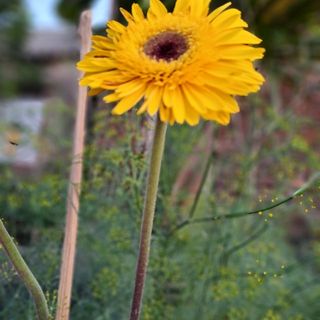 j23cw_e8o7