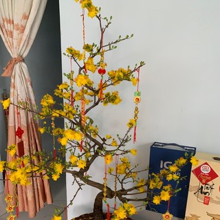 kieunguyen030872