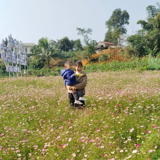 lngdung601