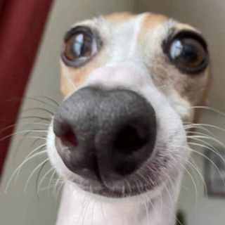 pymrfagajb