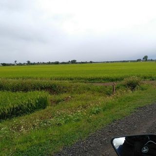 lehoa620